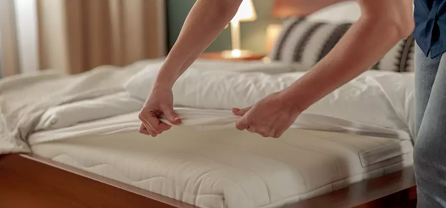 Bed Bug Extermination Services in Corvallis