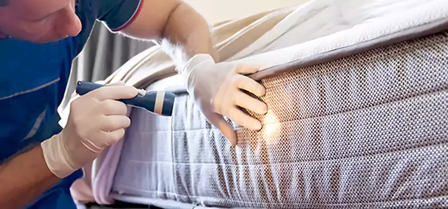 Residential Bed Bug Treatment Cost in Corvallis