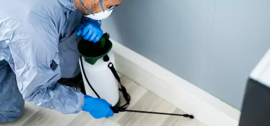 Fumigate Apartment Roaches in Corvallis