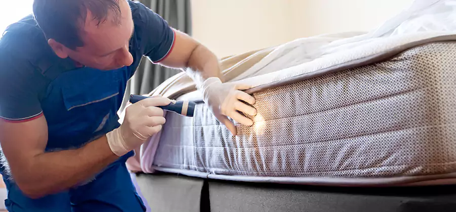 24 Hour Bed Bug Pest Control in Corvallis