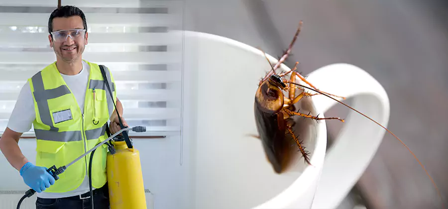 German Roach Infestation Treatment Corvallis