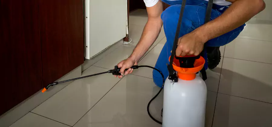 Indoor Mosquito Treatment in Corvallis