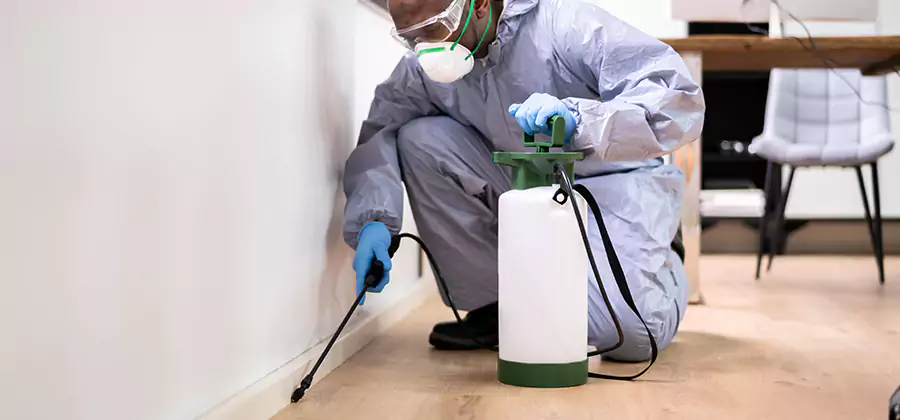 Long Lasting Mosquito Treatment in Corvallis