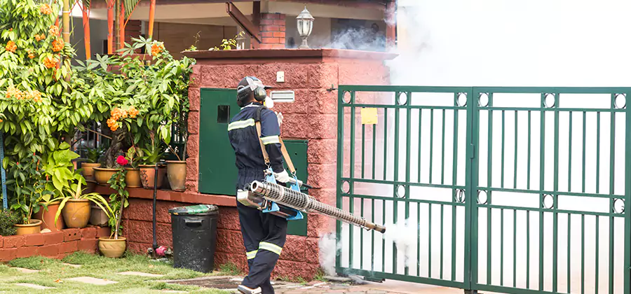 Backyard Mosquito Foggers Service in Corvallis