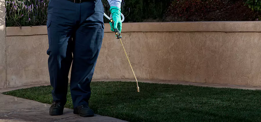 Soil Treatment for New Construction Termites in Corvallis
