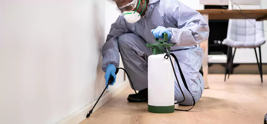 No Tent Termite Extermination With Electric Tool in Corvallis