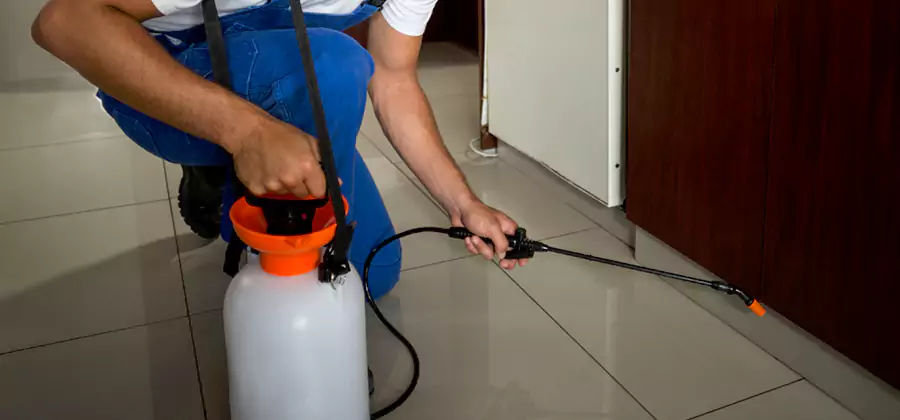One Time Termite Control in Corvallis