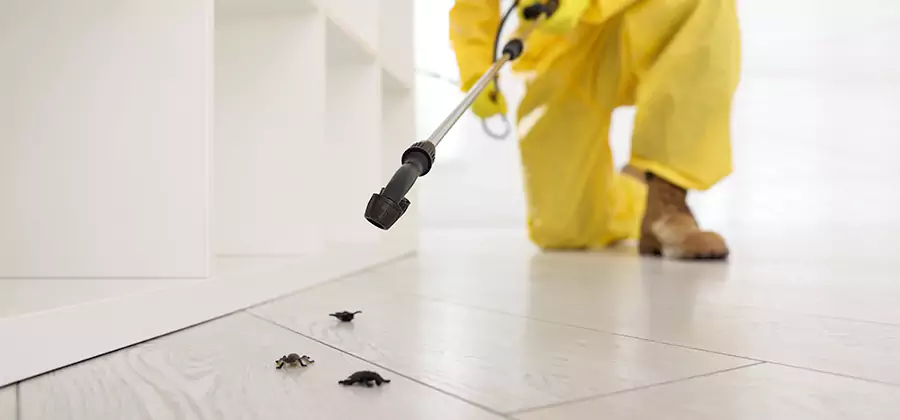 Roach and Bed Bug Exterminator in Corvallis