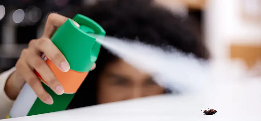 Child Safe Bed Bug Treatment in Corvallis