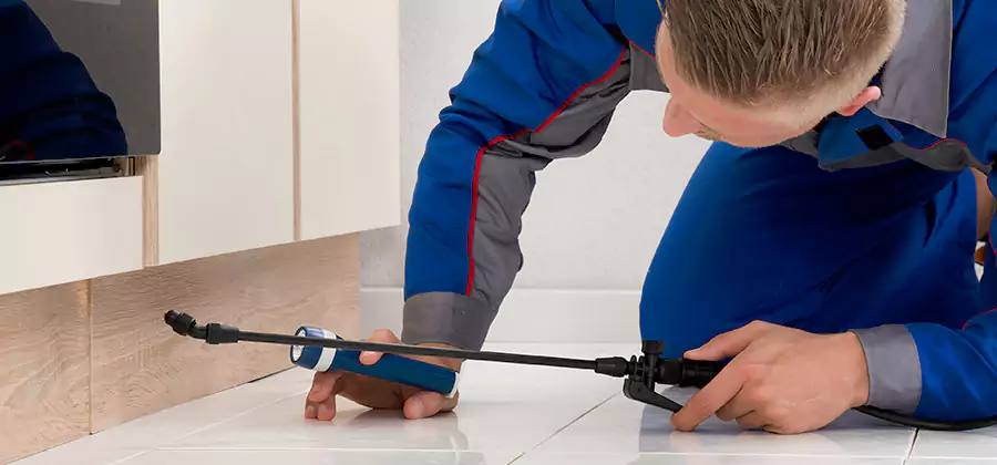 Moisture Treatment For Termite Control Service in Corvallis