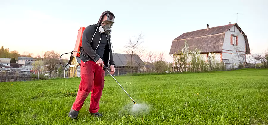 Flea and Tick Pest Control in Corvallis