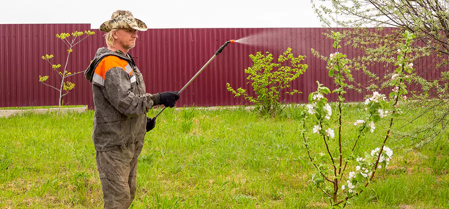 Flea and Tick Spray for Yard in Corvallis