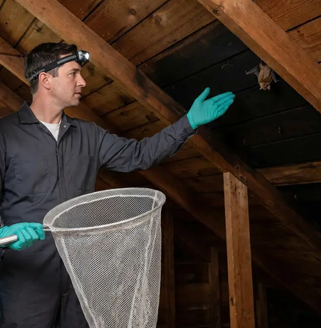 Why Corvallis Pest Control Pro Is the Right Choice in Corvallis, OR?