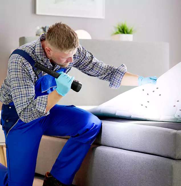 Why Choose Corvallis Pest Control Pro for Bed Bug Exterminator Cost in Corvallis, OR?