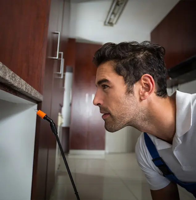Why Choose Corvallis Pest Control Pro for Bed Bug Removal Cost in Corvallis, OR?