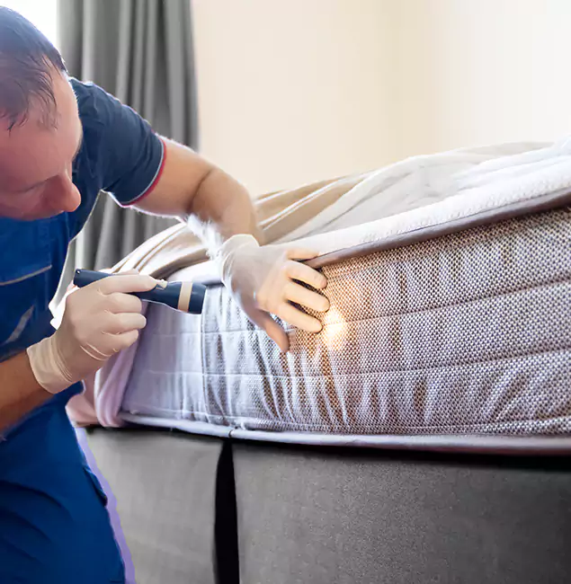 Why Choose Corvallis Pest Control Pro for Bed Bug Services in Corvallis, OR?