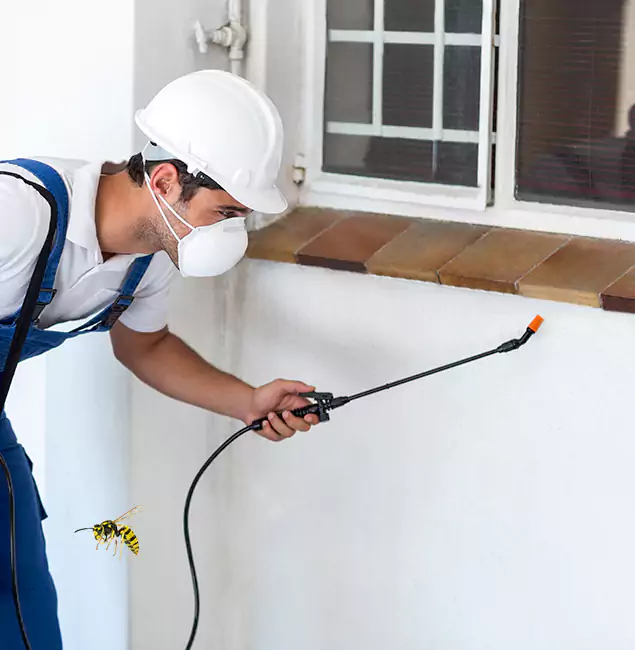 Why Corvallis Property Owners Choose Corvallis Pest Control Pro for Bee Nest Removal?