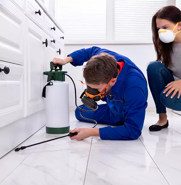Why Choose Corvallis Pest Control Pro in Corvallis, OR?