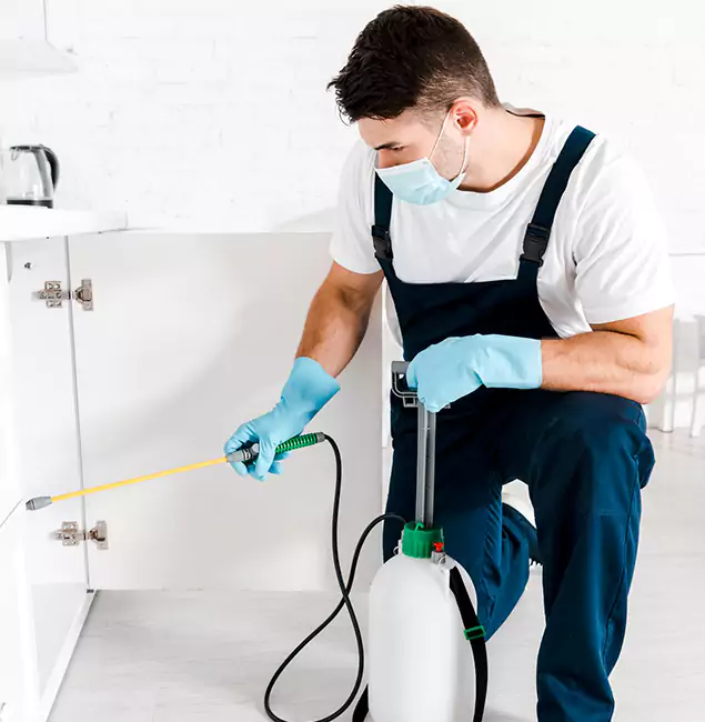 Why Choose Corvallis Pest Control Pro for Emergency Pest Control in Corvallis?