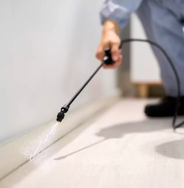 Why Choose Corvallis Pest Control Pro for Termite Treatment in Corvallis, OR?
