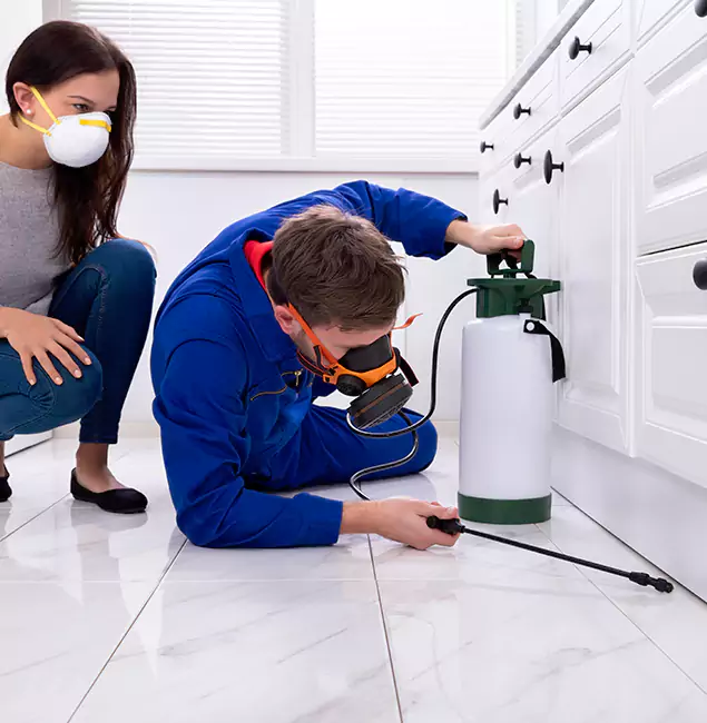 Why Corvallis, OR Homeowners Trust Corvallis Pest Control Pro for Roach Control?