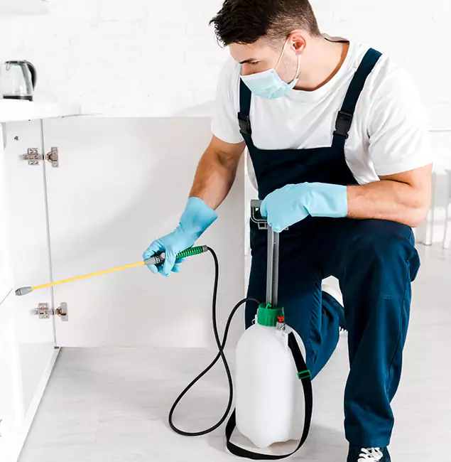 Why Choose Corvallis Pest Control Pro for Indoor Pest Control in Corvallis, OR?
