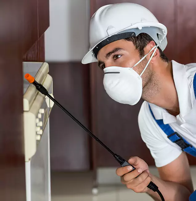 Why Corvallis Homeowners Rely on Corvallis Pest Control Pro for Tick Treatment?