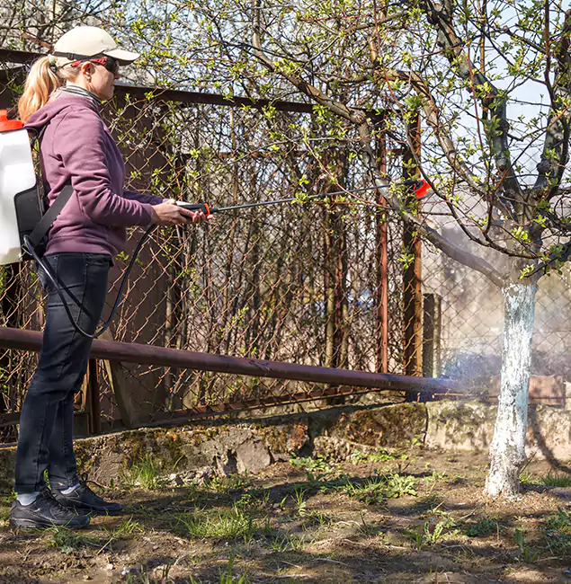 Why Corvallis Homeowners Choose Corvallis Pest Control Pro for Mosquito Abatement?