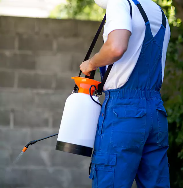 Why Corvallis Homeowners Rely on Corvallis Pest Control Pro for Mosquito Control?