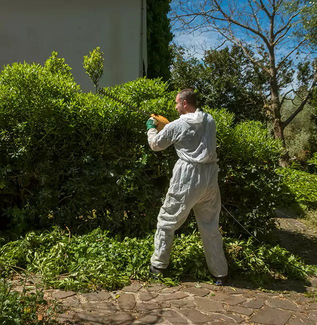Why Corvallis Pest Control Pro Leads Mosquito Control in Corvallis, OR?