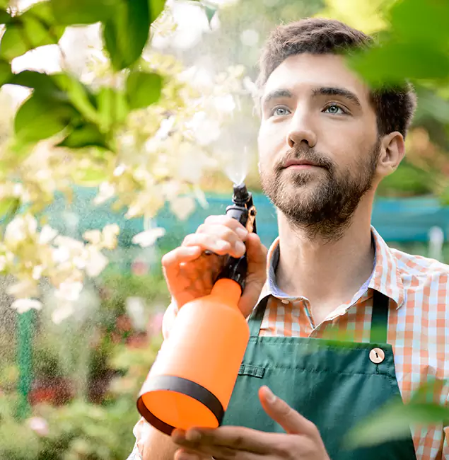 Why Corvallis Pest Control Pro Is the Best Mosquito Control Company in Corvallis, OR?