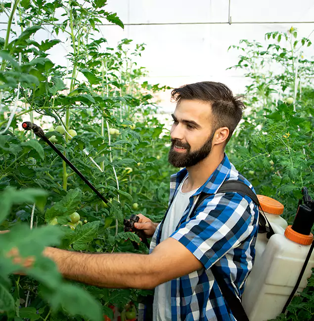 Why Corvallis Homeowners Choose Corvallis Pest Control Pro for Mosquito Spraying?