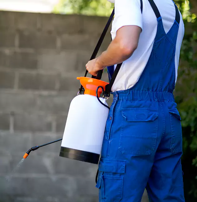 Why Corvallis Pest Control Pro Delivers the Best Mosquito Control in Corvallis, OR?