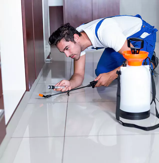 Why Corvallis Pest Control Pro Is the Proven Choice in Corvallis, OR?