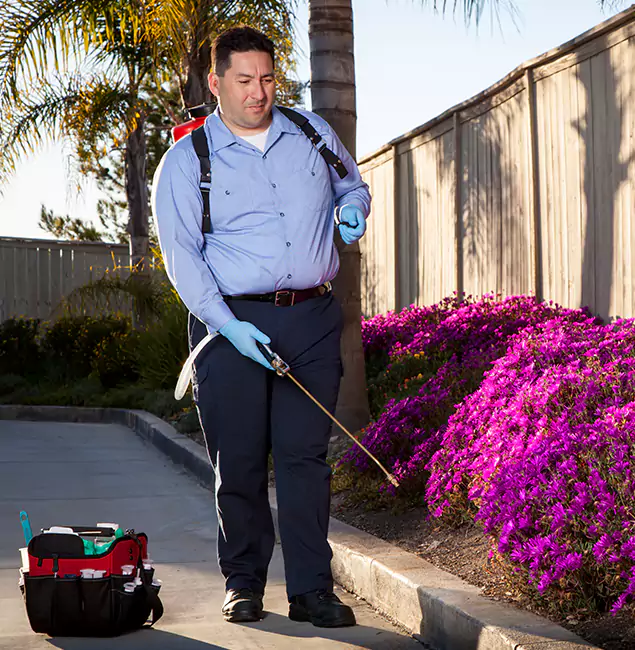 Why Choose Corvallis Pest Control Pro in Corvallis, OR?