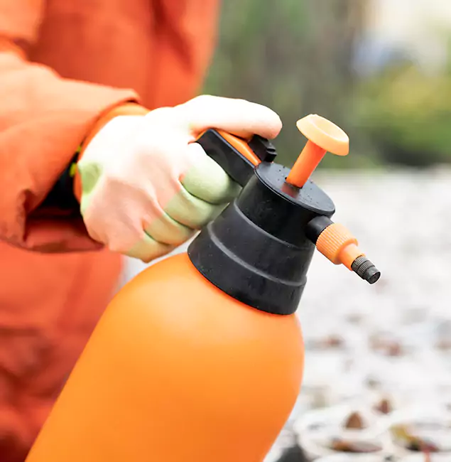 Why Choose Corvallis Pest Control Pro for Orange Termite Treatment in Corvallis, OR?