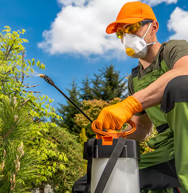 Why Choose Corvallis Pest Control Pro for Outdoor Pest Control in Corvallis, OR?