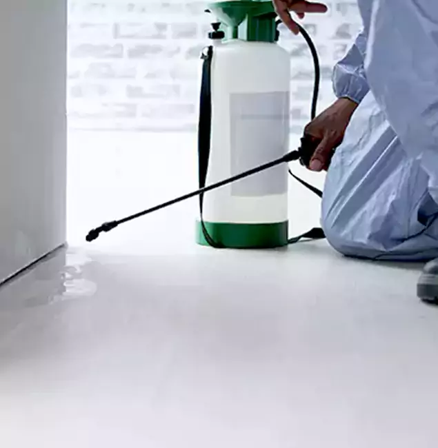 Why Choose Corvallis Pest Control Pro for Rat Exterminator in Corvallis, OR?