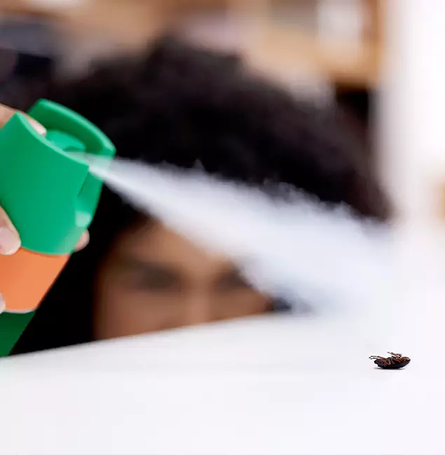 Why Corvallis, OR Homeowners Choose Corvallis Pest Control Pro for Roach Pest Control?