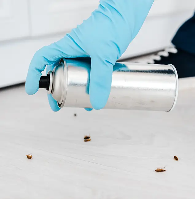 Why Choose Corvallis Pest Control Pro for Safe Bed Bug Treatment in Corvallis, OR?