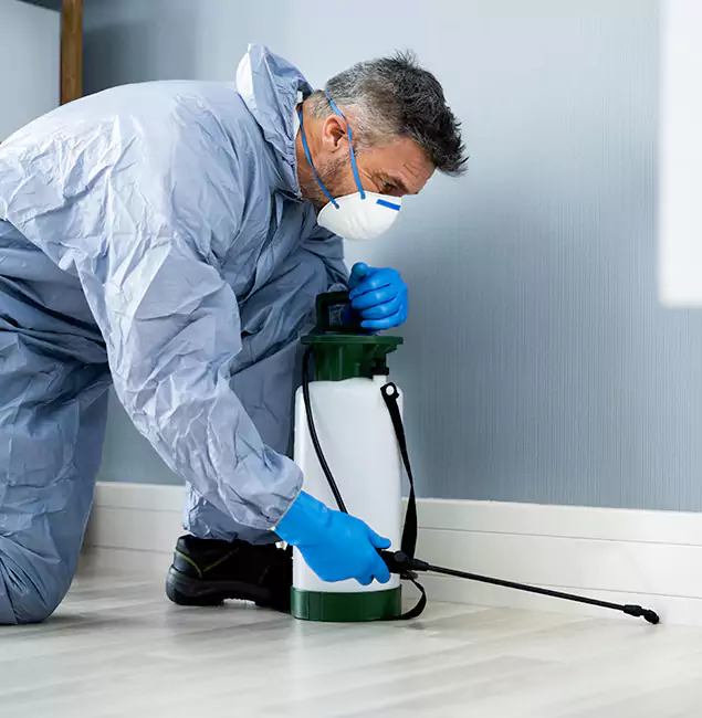 Why Choose Corvallis Pest Control Pro for Subterranean Termites Treatment in Corvallis, OR?