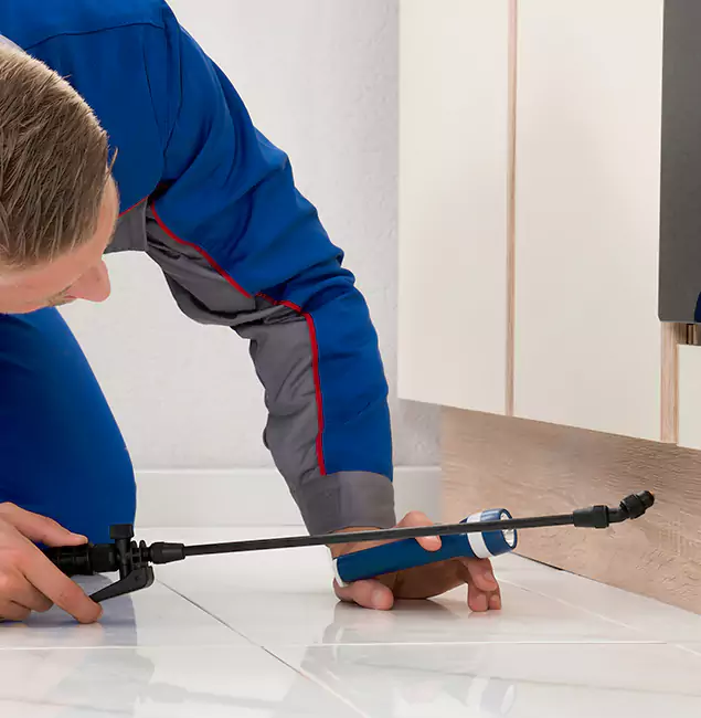 Why Corvallis Residents Choose Corvallis Pest Control Pro to Get Rid of Sugar Ants?