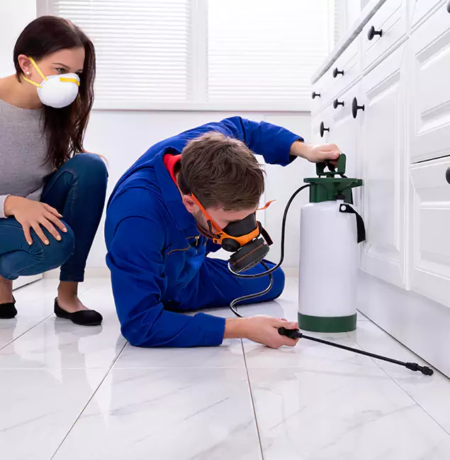 Why Choose Corvallis Pest Control Pro for Termite Inspection Cost in Corvallis, OR?