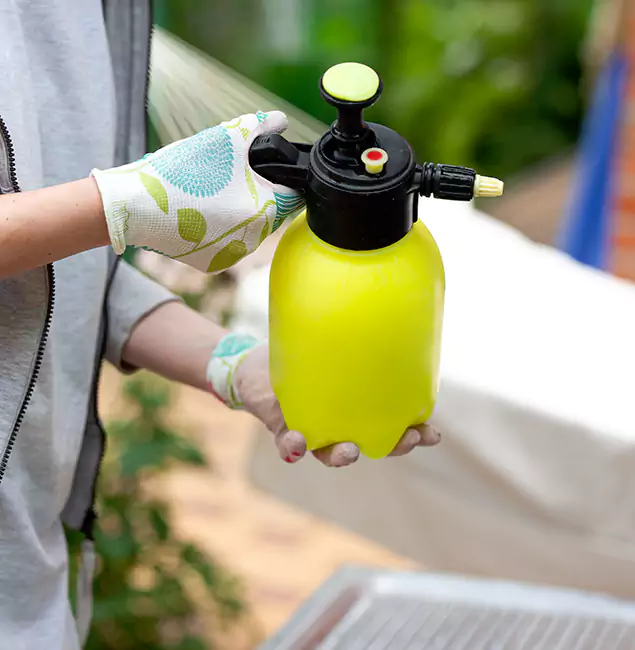 Why Choose Us: Corvallis Pest Control Pro Termite Spraying Experts in Corvallis, OR?