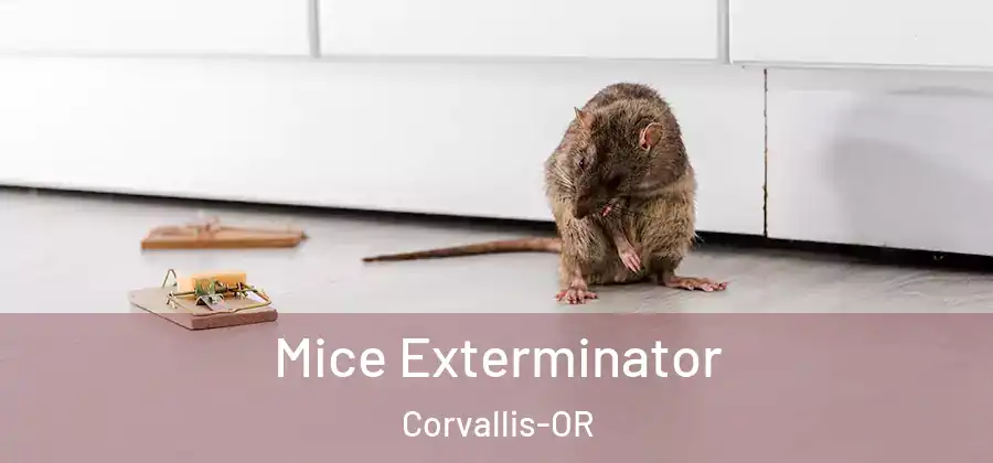  Mice Exterminator Corvallis-OR