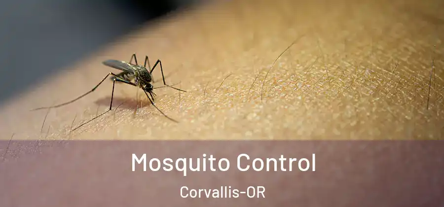  Mosquito Control Corvallis-OR