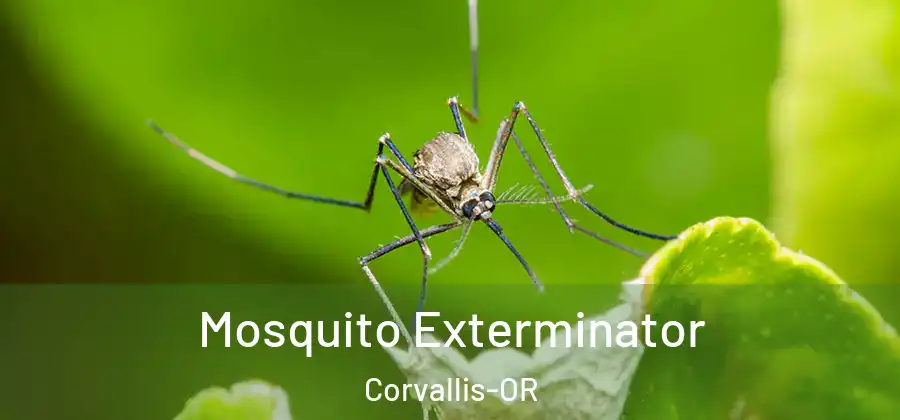 Mosquito Exterminator Corvallis-OR