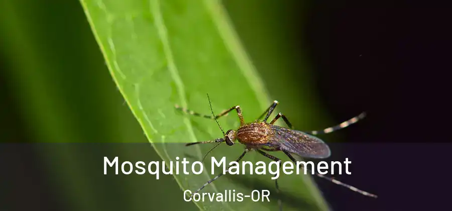  Mosquito Management Corvallis-OR
