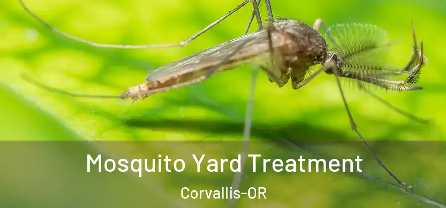  Mosquito Yard Treatment Corvallis-OR