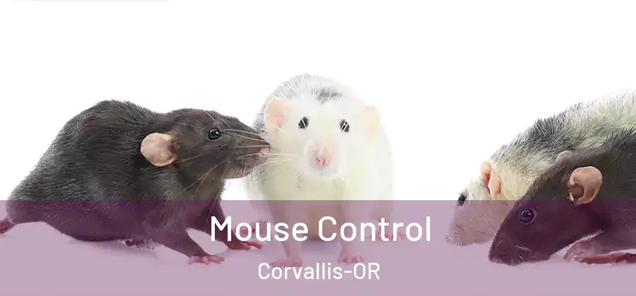 Mouse Control Corvallis-OR